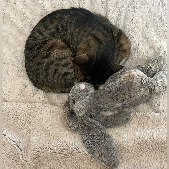 Meet your Posher, Cassandra - Picture 3 of 7